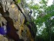 Thumbs/tn_DSC03225.jpg