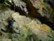 Thumbs/tn_DSC03226.jpg