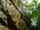 Thumbs/tn_DSC03231.jpg
