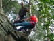 Thumbs/tn_DSC03235.jpg