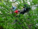Thumbs/tn_DSC03249.jpg