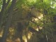 Thumbs/tn_DSC03252.jpg