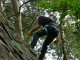 Thumbs/tn_DSC03253.jpg