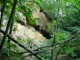Thumbs/tn_DSC03266.jpg