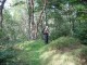 Thumbs/tn_IMG_0093.jpg
