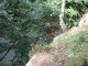 Thumbs/tn_IMG_0097.jpg