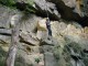 Thumbs/tn_IMG_0103.jpg