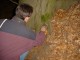 Thumbs/tn_DSC00589.jpg