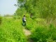 Thumbs/tn_DSC07118.jpg