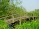 Thumbs/tn_DSC07120.jpg