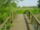 Thumbs/tn_DSC07121.jpg