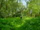 Thumbs/tn_DSC07122.jpg