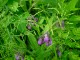 Thumbs/tn_DSC07123.jpg