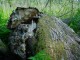 Thumbs/tn_DSC07124.jpg