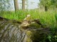 Thumbs/tn_DSC07125.jpg