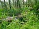 Thumbs/tn_DSC07126.jpg