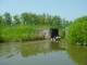 Thumbs/tn_DSC07128.jpg