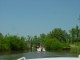 Thumbs/tn_DSC07131.jpg