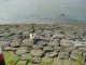 Thumbs/tn_DSC07138.jpg