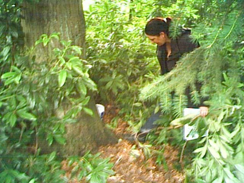 ../Images/PIC00004.jpg