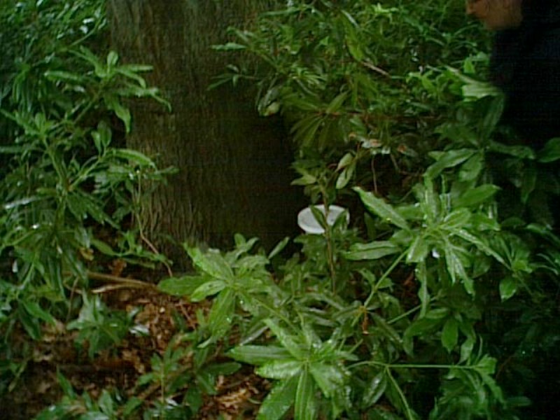 ../Images/PIC00007.jpg