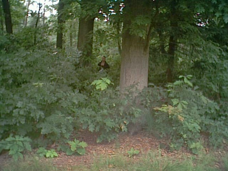 ../Images/PIC00009.jpg