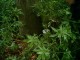 Thumbs/tn_PIC00007.jpg