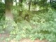 Thumbs/tn_PIC00008.jpg