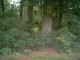 Thumbs/tn_PIC00009.jpg