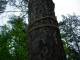 Thumbs/tn_DSC07047.jpg