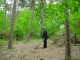 Thumbs/tn_DSC07048.jpg