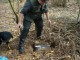 Thumbs/tn_DSC00662.jpg