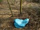 Thumbs/tn_DSC00669.jpg