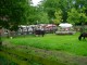 Thumbs/tn_DSC02088.jpg