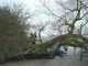 Thumbs/tn_DSC04756.jpg