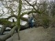 Thumbs/tn_DSC04758.jpg