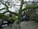 Thumbs/tn_DSC04759.jpg