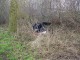 Thumbs/tn_DSC04768.jpg