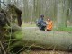 Thumbs/tn_DSC08543.jpg