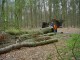 Thumbs/tn_DSC08544.jpg