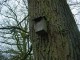 Thumbs/tn_DSC08545.jpg