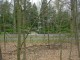 Thumbs/tn_DSC08546.jpg