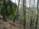 Thumbs/tn_DSC05918.jpg