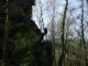 Thumbs/tn_DSC05941.jpg