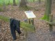 Thumbs/tn_DSC04510.jpg