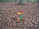 Thumbs/tn_DSC04512.jpg