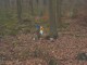 Thumbs/tn_DSC04514.jpg