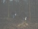 Thumbs/tn_DSC04524.jpg
