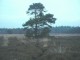 Thumbs/tn_DSC04526.jpg