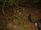 Thumbs/tn_DSC04528.jpg